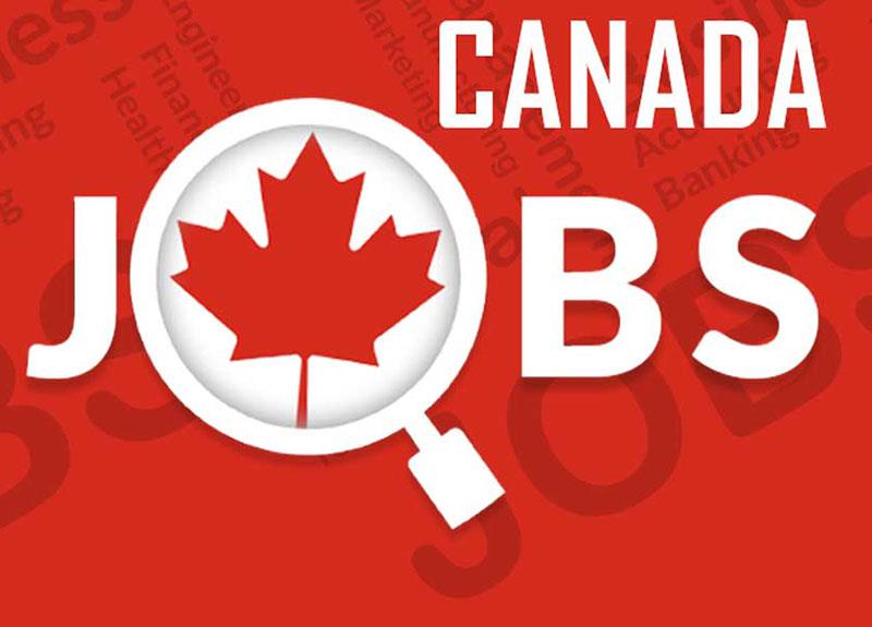 چگونه در کانادا مجوز کار بگیریم ؟